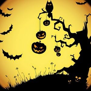 Meet your Posher, Latasha